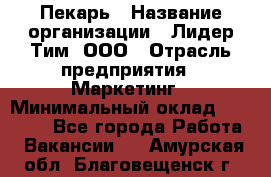 Пекарь › Название организации ­ Лидер Тим, ООО › Отрасль предприятия ­ Маркетинг › Минимальный оклад ­ 27 600 - Все города Работа » Вакансии   . Амурская обл.,Благовещенск г.